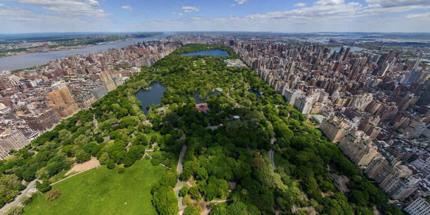 new-york-Central-Park-top-view