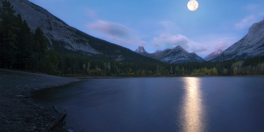 元石破派の面々