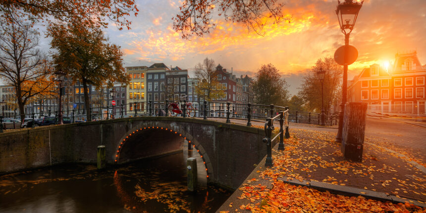 国民民主党の医療政策