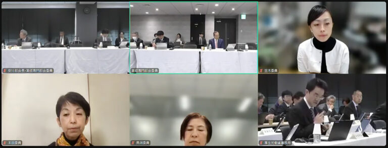 2024年12月25日の薬価専門部会