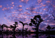 費用対効果評価「拡大」で攻防