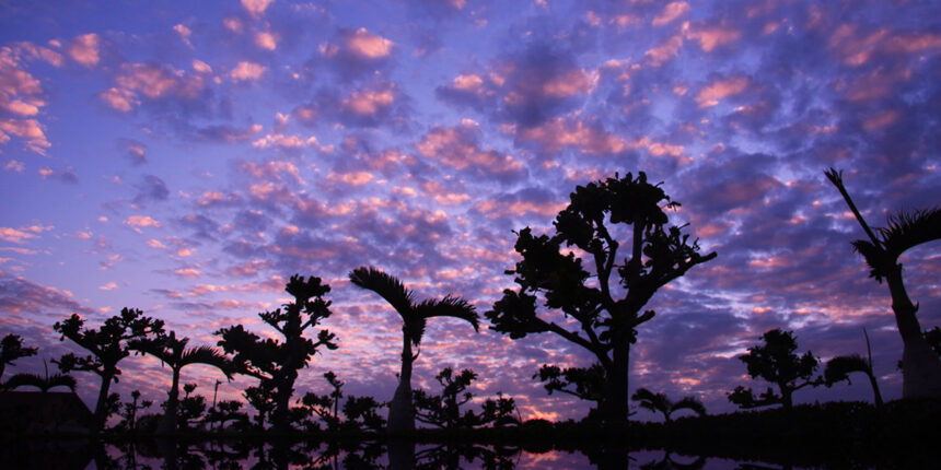 費用対効果評価「拡大」で攻防