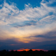 厚労系候補の当落