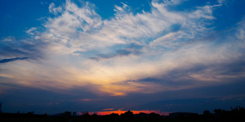 厚労系候補の当落