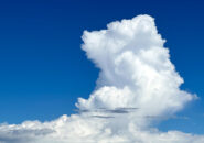 ５候補の社会保障に関する主張