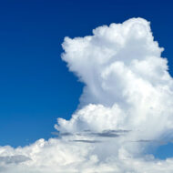 ５候補の社会保障に関する主張