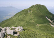 診療報酬の「毎年改定」