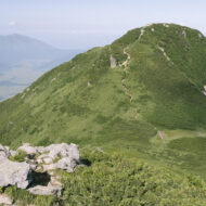 診療報酬の「毎年改定」