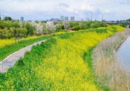 国民負担の増加「抑制」