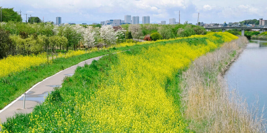 国民負担の増加「抑制」