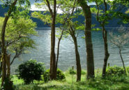 「ＯＴＣ類似薬」の落としどころ