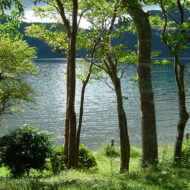 「ＯＴＣ類似薬」の落としどころ