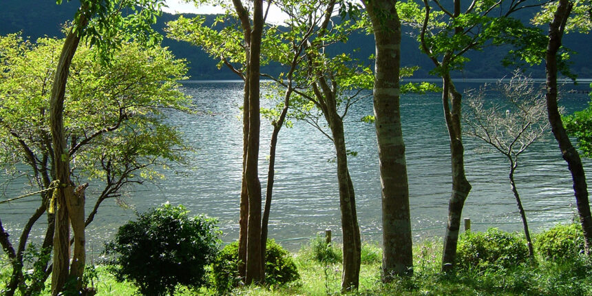 「ＯＴＣ類似薬」の落としどころ