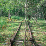 閣僚再任と中間年改定